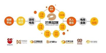 芒果超媒上半年業績飆升 扣非凈利勁增74倍，會員與廣告業務雙翼齊飛