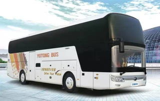 周末熱浪島四季恒溫水世界一日游，舊機動車煥發新活力