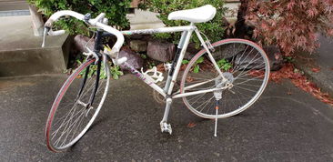 日本盧德摩托車代購(gòu)與二手市場(chǎng)指南 價(jià)格、渠道與購(gòu)買注意事項(xiàng)